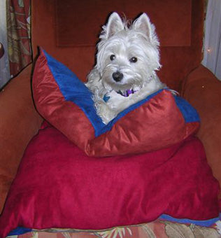 Pillow Furniture Pet Beds